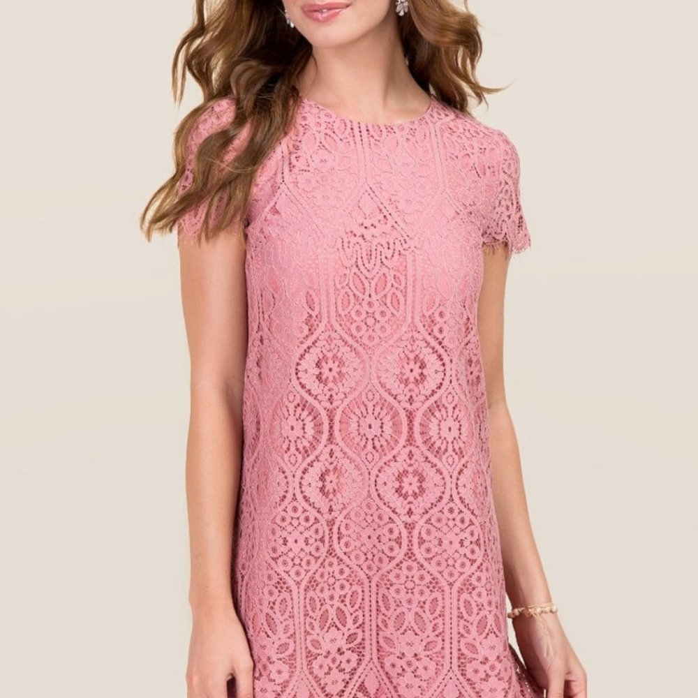 Vanna Scalloped Lace Shift Dress